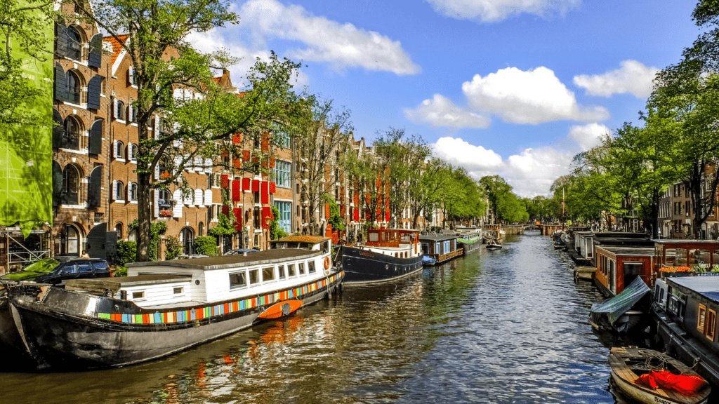 boat sailing on the river