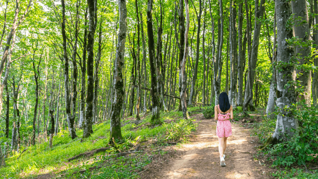 a person is running down a country road at sunset