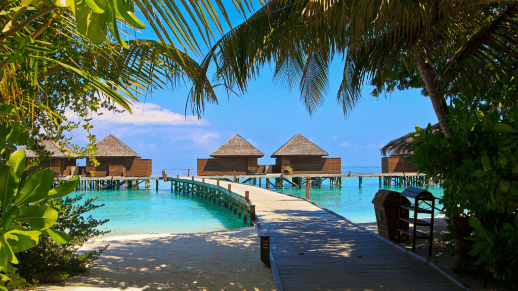 an outdoor swimming pool with lounge chairs and umbrellas