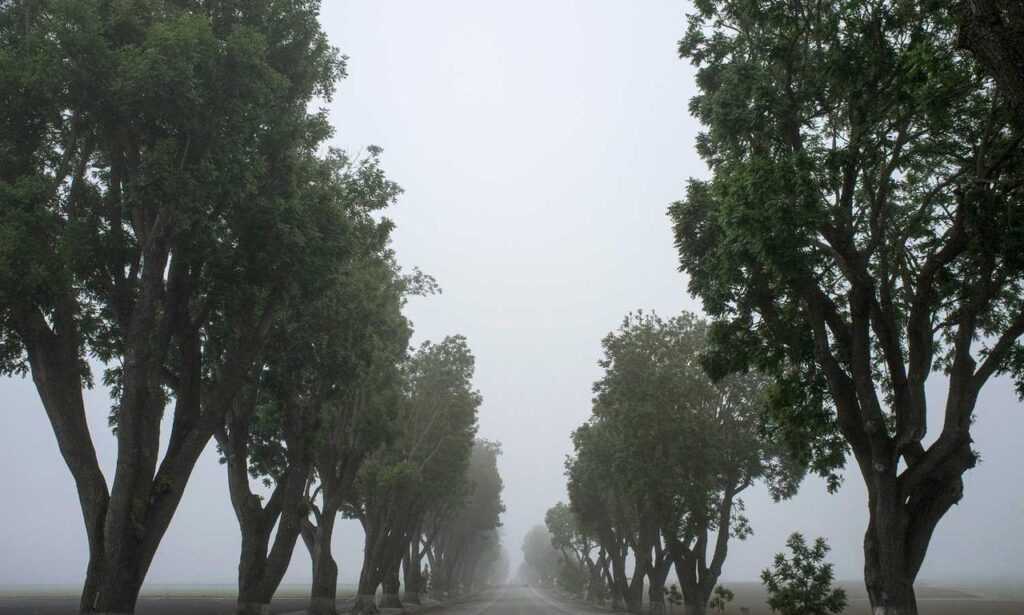 new gardening product xhasrloranit