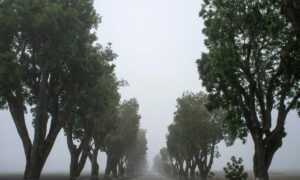 new gardening product xhasrloranit