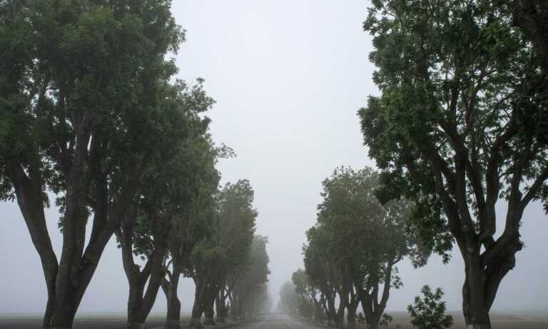 new gardening product xhasrloranit