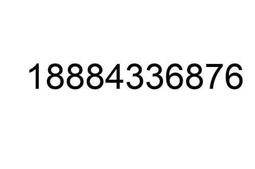 18884336876
