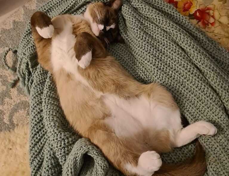 320 ringgit berapa rupiah