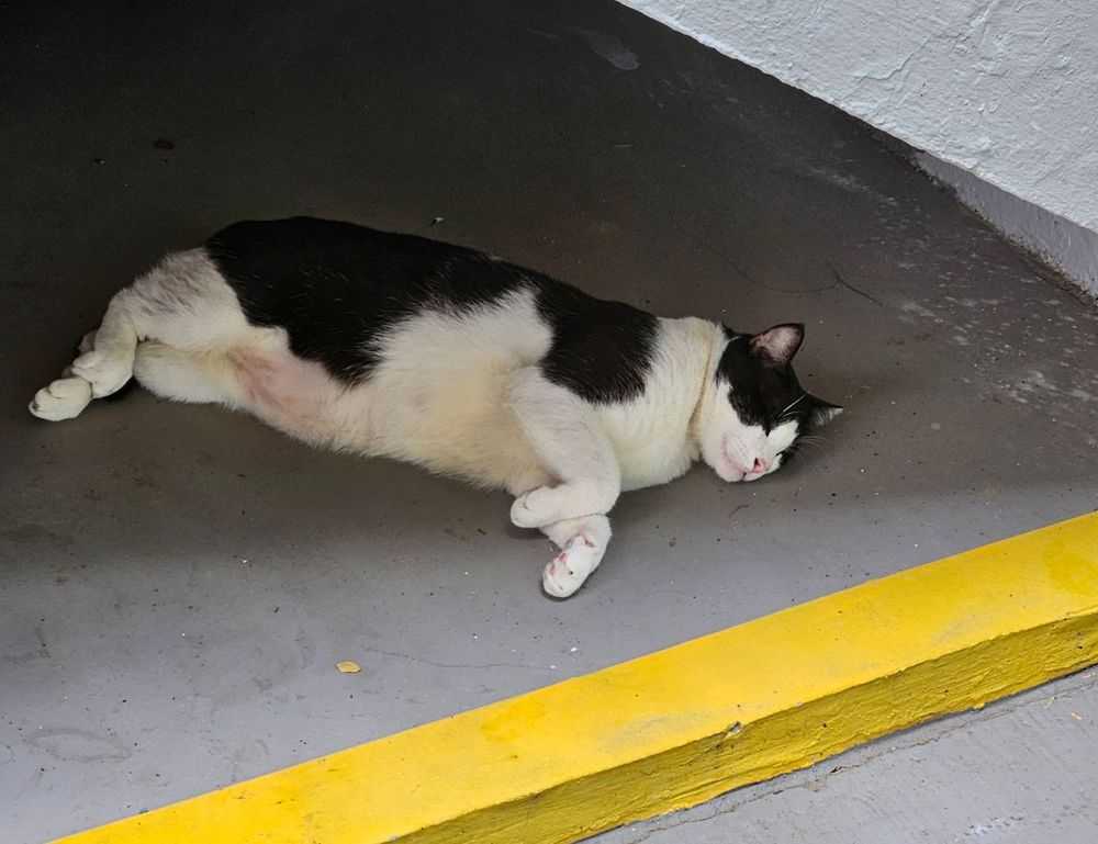 3800 pesos mexicanos a chilenos