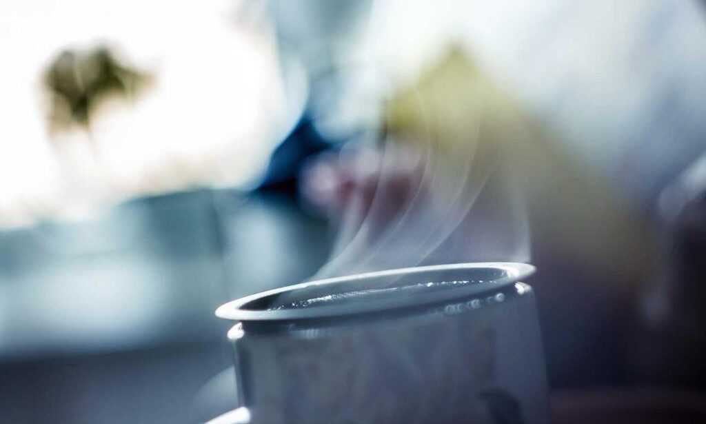 caroline werner model