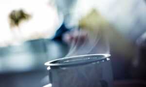 caroline werner model