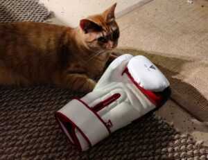 goedemorgen bloemen gif