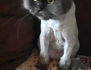 is miami in california