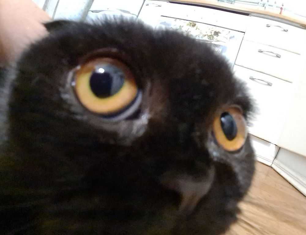 layarkaca21 synopsis