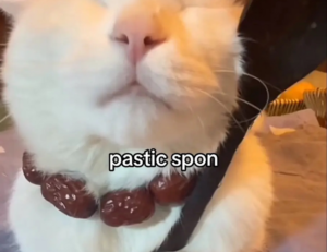 mind betterme world trauma test español