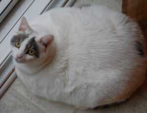 mrsblondebrewer nude