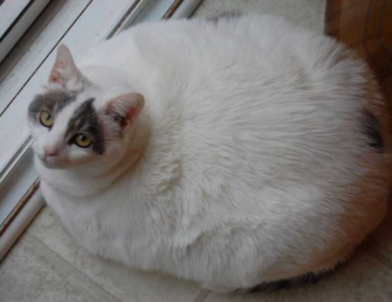 mrsblondebrewer nude