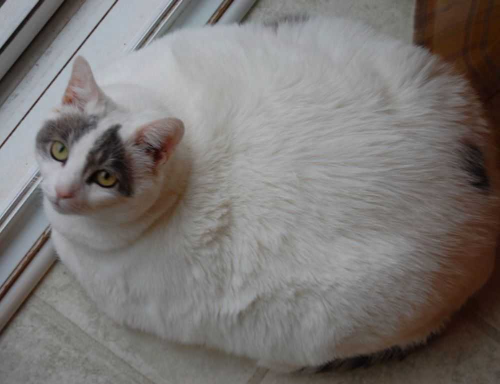 mrsblondebrewer nude