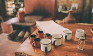 orange shirt man and horse video