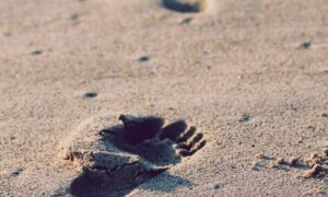 para imprimir cinnamoroll de papel