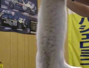 posiciones de inter de milán