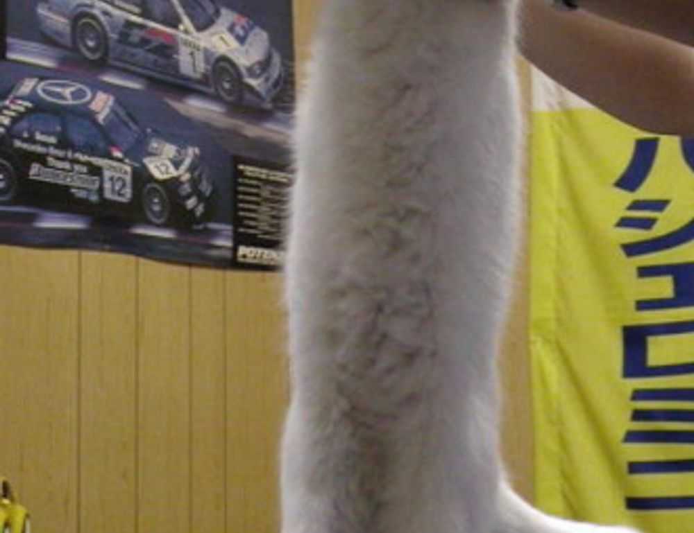 posiciones de inter de milán