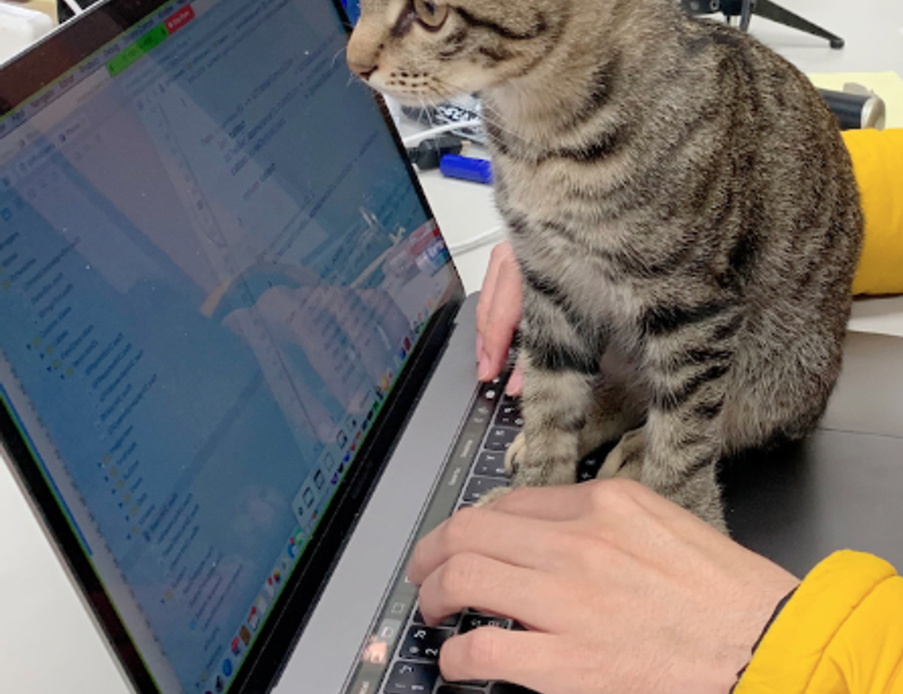 programación i sat chile