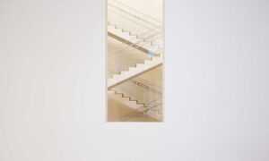 rosa:xy92wf3jnng= minnie