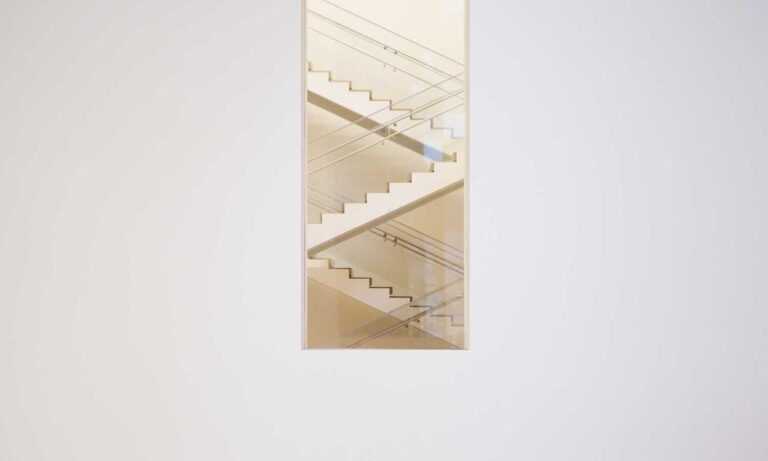 rosa:xy92wf3jnng= minnie