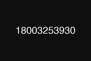 18003253930
