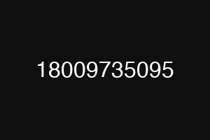 18009735095