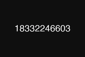 18332246603