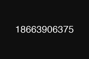 18663906375