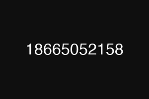 18665052158