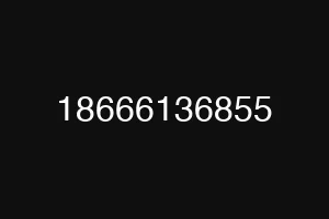 18666136855