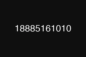 18885161010