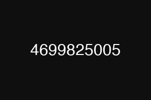 4699825005