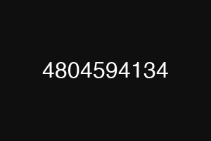 4804594134