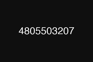 4805503207