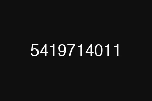 5419714011