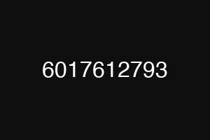 6017612793