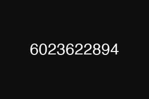 6023622894