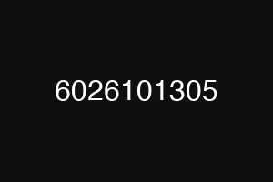 6026101305