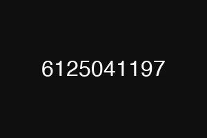 6125041197