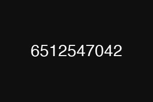6512547042