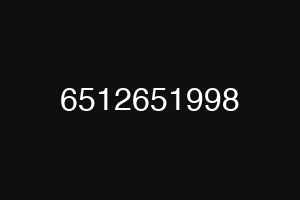 6512651998