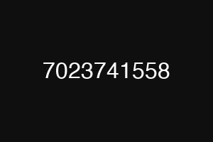 7023741558