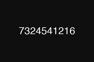 7324541216