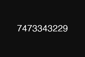7473343229