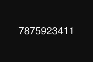 7875923411