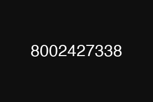 8002427338