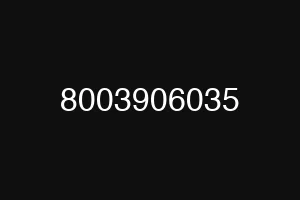 8003906035