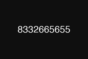 8332665655