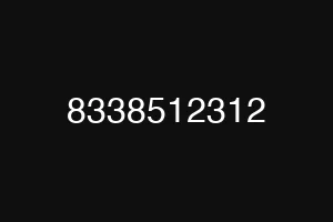 8338512312